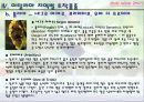 이탈리아와인 28페이지