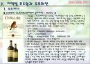 이탈리아와인 34페이지