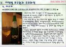 이탈리아와인 40페이지
