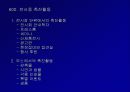 전시회의 이해 37페이지