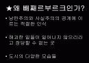 고골리 - 외투 (ppt) 15페이지