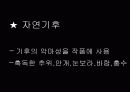 고골리 - 외투 (ppt) 17페이지