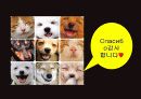고골리 - 외투 (ppt) 20페이지