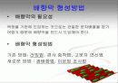 LCD 배향막 8페이지