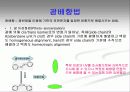 LCD 배향막 10페이지