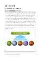 싱가포르의 UMPC 글로벌 전략 11페이지