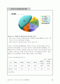 싱가포르의 UMPC 글로벌 전략 12페이지