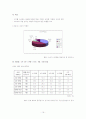 처음처럼 마케팅전략 보고서 21페이지