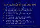 에벤벨리 프로모션전략 5페이지