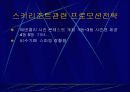 에벤벨리 프로모션전략 7페이지