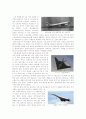 항공기의 역사와 발전상 9페이지