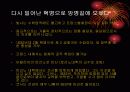 수학사발표 (가우스와 코시의 시대) 20페이지