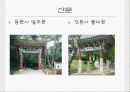불교에 대해 8페이지