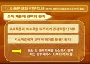시장인가 정부인가 의 요약 및 논점 PPT 자료(요약전체글 첨부) 43페이지