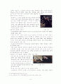 [인문과학] 김의전쟁 영화분석 10페이지