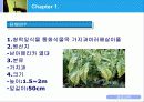 담배와 건강 3페이지