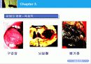 담배와 건강 15페이지