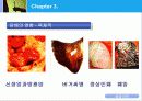 담배와 건강 16페이지