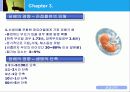 담배와 건강 18페이지