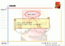 다시다 광고기획서 4페이지