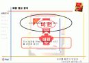 다시다 광고기획서 9페이지
