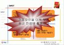 다시다 광고기획서 21페이지