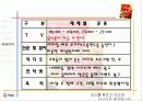 다시다 광고기획서 44페이지