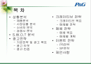 페브리즈 광고 기획서 2페이지
