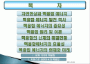 핵융합에너지의 원리 및 진행 현황 2페이지