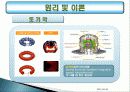 핵융합에너지의 원리 및 진행 현황 14페이지