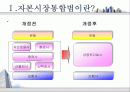   자본시장통합법이 국내 금융시장에 미칠 영향  2페이지