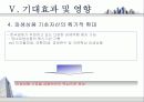   자본시장통합법이 국내 금융시장에 미칠 영향  16페이지