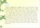 지금도 천변을 걸을 수 있을까. 작가 박태원에 대해서 17페이지