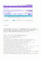 인터넷에서의 비윤리 행동들의 유형,사례 및 대책 4페이지