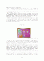 아동화의 이해와 평가 6페이지