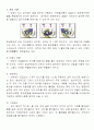 원심펌프의 성능 시험 8페이지