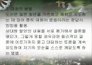 도산안창호 교육 9페이지