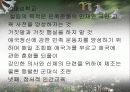 도산안창호 교육 13페이지