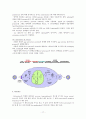 바이러스학 (Virology) 17페이지