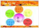 민들레영토마케팅분석 13페이지