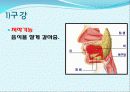 장 재활과 배변  4페이지