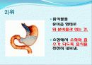 장 재활과 배변  5페이지