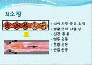 장 재활과 배변  6페이지