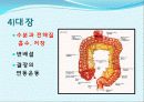 장 재활과 배변  7페이지