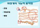 장 재활과 배변  8페이지