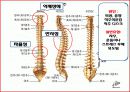 장 재활과 배변  12페이지