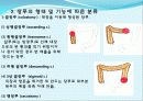 장 재활과 배변  34페이지