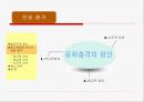 음식문화로 살펴본 문화충격과 문화상대주의(ppt-애니매이션효과중심) 17페이지