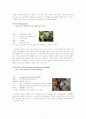임해실습(경북 포항시 하선대&호미곶) 채집동물과 요약 6페이지
