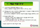 인터넷에 대한 모든 분석(A+ Report) 16페이지